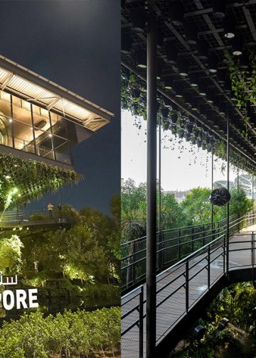 Gian hàng Singapore tại Expo 2020 Dubai để giới thiệu tầm nhìn Xanh về Thành phố trong thiên nhiên