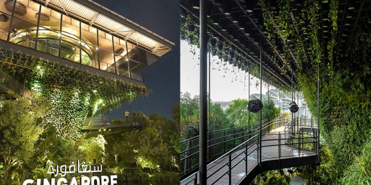 Gian hàng Singapore tại Expo 2020 Dubai để giới thiệu tầm nhìn Xanh về Thành phố trong thiên nhiên