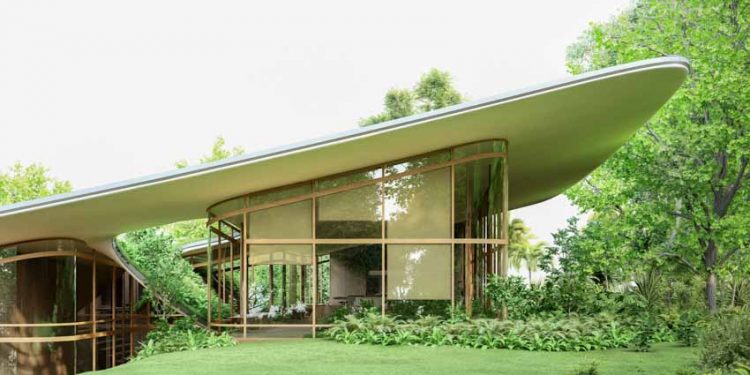 Bóng dáng những hàng ba - 1