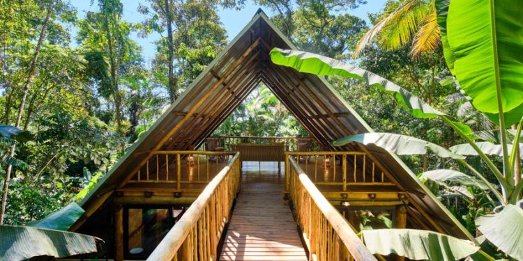 Thiết kế ngôi nhà gỗ lấy cảm hứng từ một tư thế yoga - 6