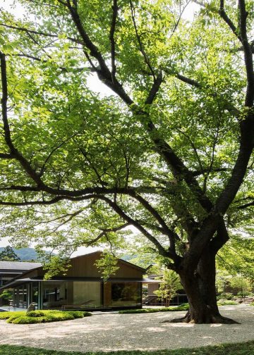 Water Cherry Villa mang đậm phong cách Nhật Bản vừa đương đại vừa truyền thống - 1