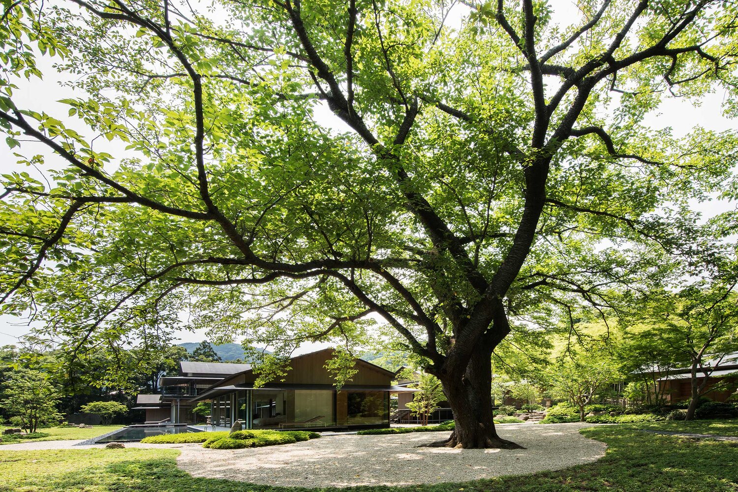 Water Cherry Villa mang đậm phong cách Nhật Bản vừa đương đại vừa truyền thống - 1