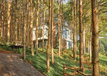 Đáp ứng một xu hướng du lịch mới - 41