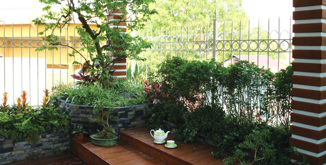 Vườn trên cao