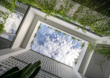 Giấc mơ về khu vườn xanh trong lòng thành phố