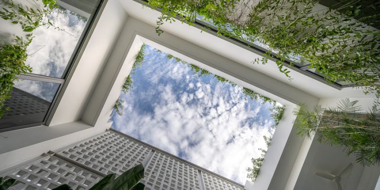 Giấc mơ về khu vườn xanh trong lòng thành phố