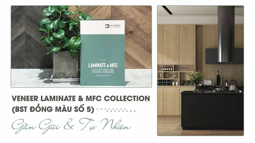 Bộ sưu tập đồng màu số 5 'Veneer Laminate & MFC collection' gần gũi và tự nhiên - 1