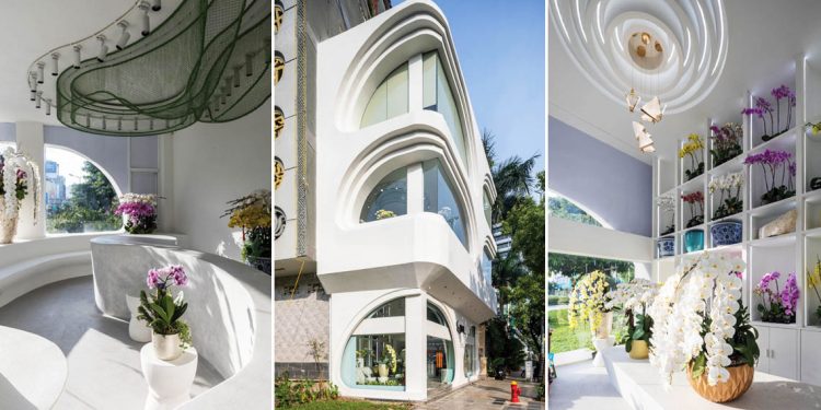 Bab Orchid Shop - Nhẹ nhàng và thân thiện - 69