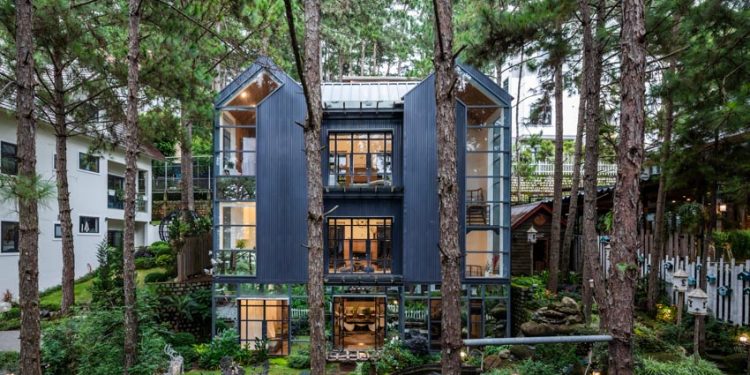 Chiếc tổ giữa rừng thông - 1