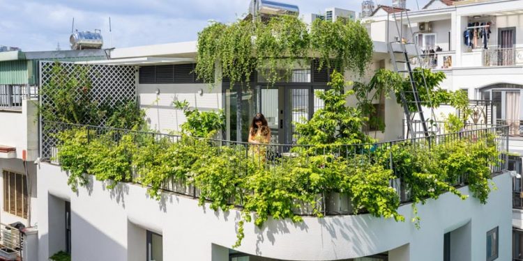 Bước vào Secret Garden đi, bạn sẽ tìm ra… bí mật - 3