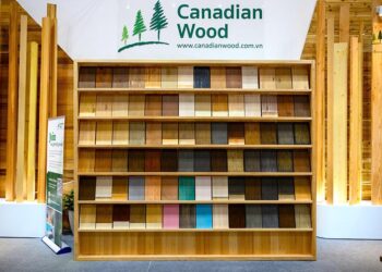 Gỗ Canada thu hút sự quan tâm lớn tại HAWA Expo & VIFA Expo 2025 - 1