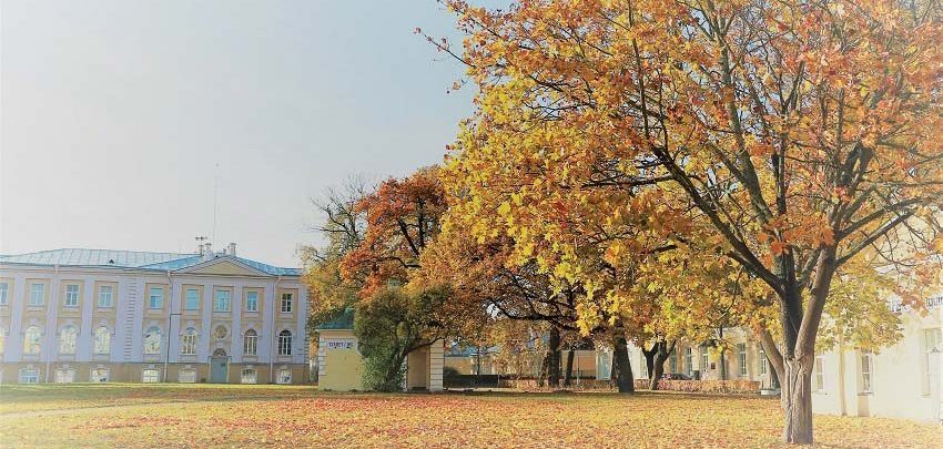 Chương trình Thu muôn lối 2017 của TST Tourist