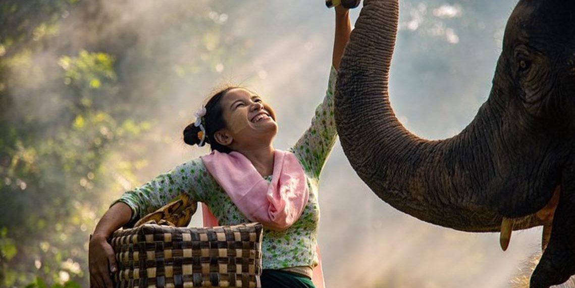 15 bức ảnh hạnh phúc nhất trong năm 2019-8