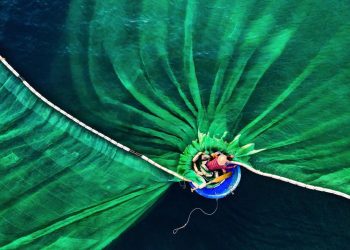 30 bức ảnh đoạt giải thưởng Bảo tồn thiên nhiên thế giới 2019 khiến bạn mê mẩn-8
