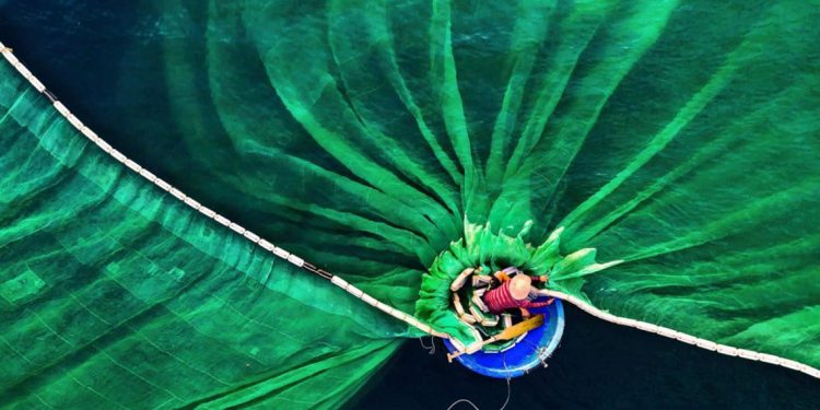 30 bức ảnh đoạt giải thưởng Bảo tồn thiên nhiên thế giới 2019 khiến bạn mê mẩn-8