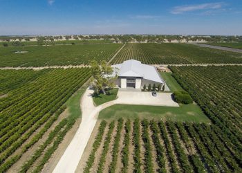 Khám phá vùng trồng nho Coonawarra nước Úc-2