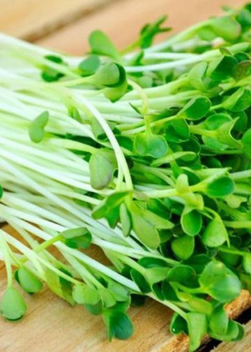 Ăn 'rau nhi đồng'-8