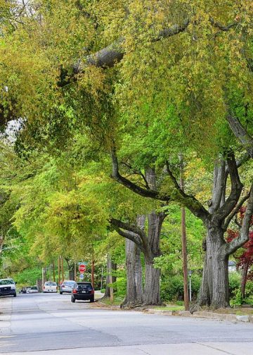 Augusta êm đềm-7