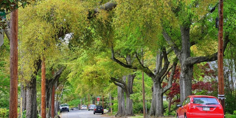 Augusta êm đềm-7