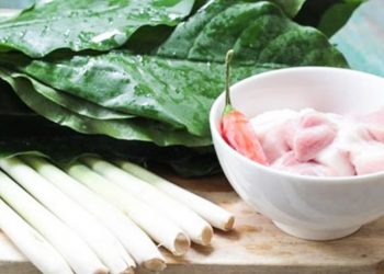 Thượng nguồn sông Mã bát canh lá rừng-4