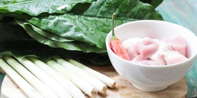 Thượng nguồn sông Mã bát canh lá rừng-4