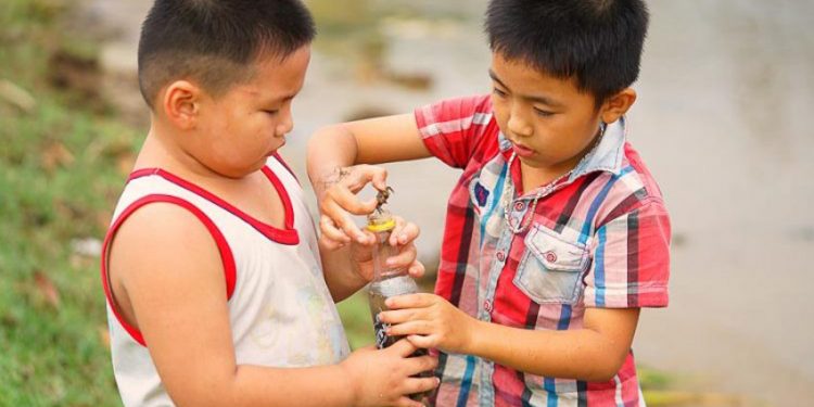 Thế hệ phố phường-2