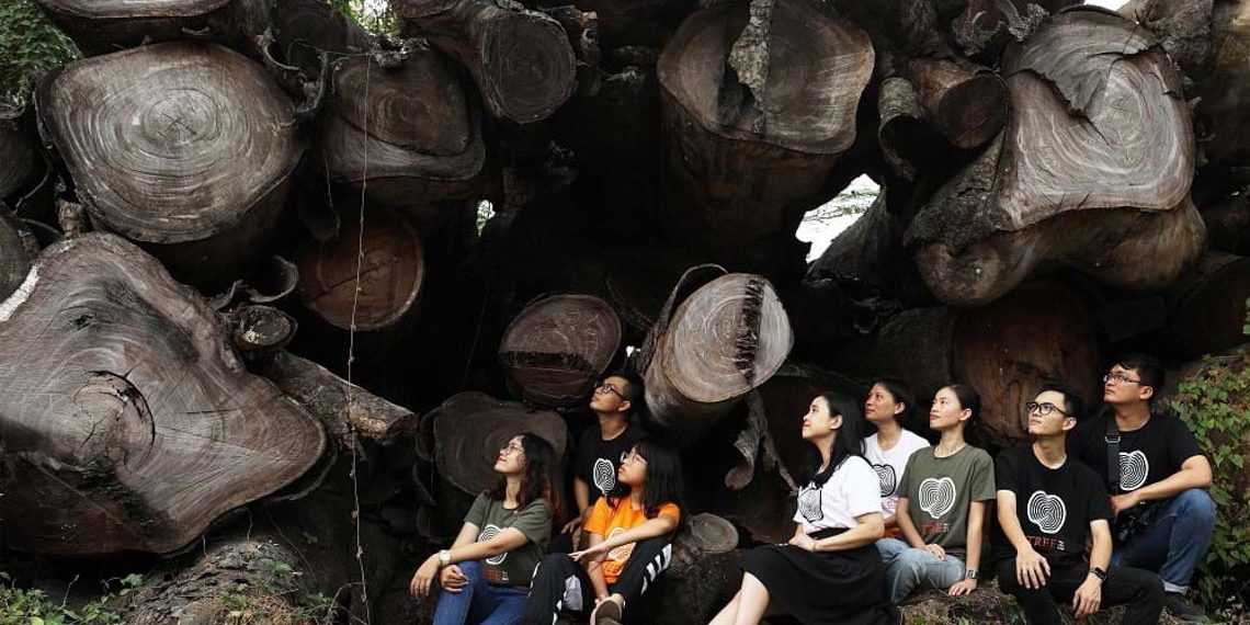 Đêm 30 trổ mầm Tâm Xanh-1