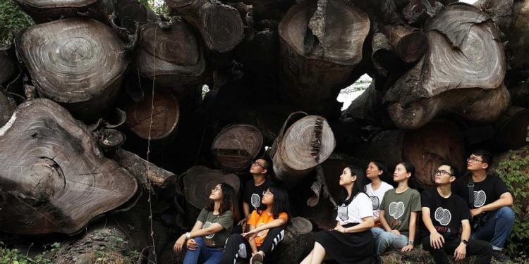 Đêm 30 trổ mầm Tâm Xanh-1