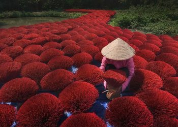 Việt Nam lọt top ảnh đẹp giải thưởng ảnh Siena quốc tế