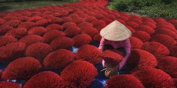 Việt Nam lọt top ảnh đẹp giải thưởng ảnh Siena quốc tế