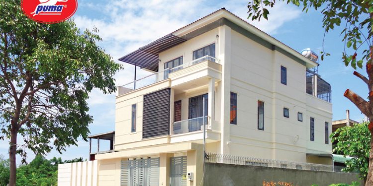 sơn trang trí Puma