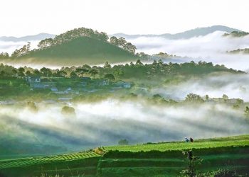 Nên thơ và khoáng đạt rừng núi Di Linh-2
