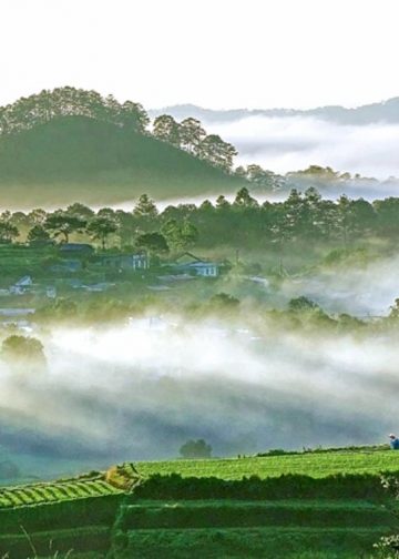 Nên thơ và khoáng đạt rừng núi Di Linh-2