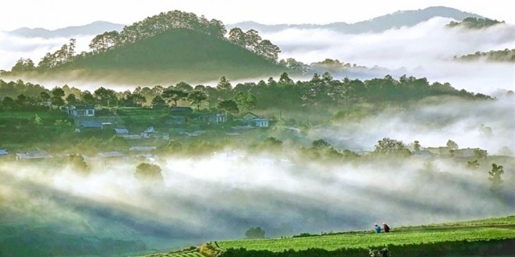 Nên thơ và khoáng đạt rừng núi Di Linh-2