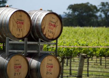Vang Australia – hương vị của ánh nắng trời