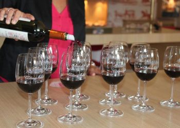 Thưởng thức thiên đường của rượu vang Bordeaux