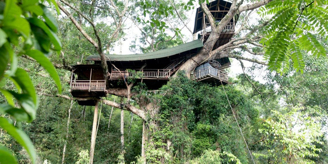 Thú vị với nhà trên cây ở Lào-9