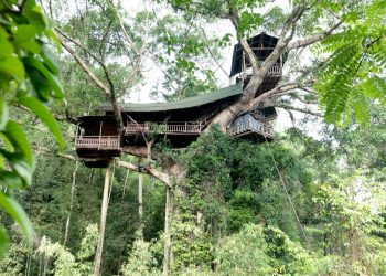 Thú vị với nhà trên cây ở Lào-9