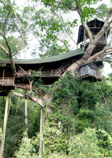Thú vị với nhà trên cây ở Lào-9