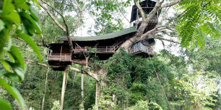 Thú vị với nhà trên cây ở Lào-9