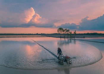 Vẻ đẹp miền Tây mùa nước nổi-7