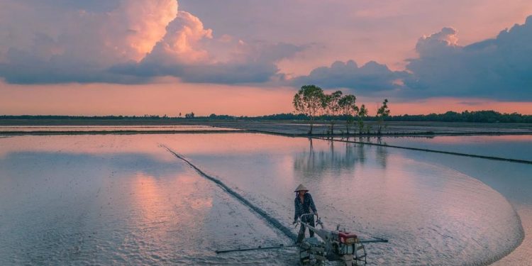 Vẻ đẹp miền Tây mùa nước nổi-7