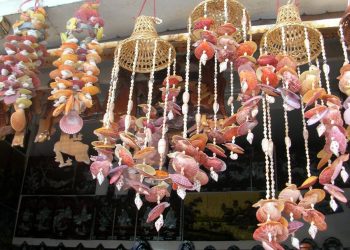 Quà đẹp của biển-1