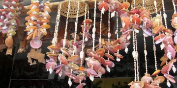 Quà đẹp của biển-1