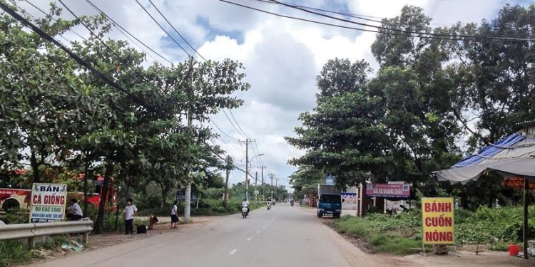 Đường Nguyễn Xiển đang có tiềm năng sinh lợi tốt