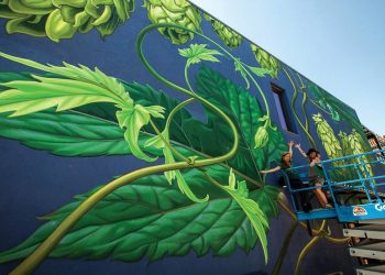 Mona Caron (trái) và một người bạn đang thực hiện tranh tường tại nhà máy bia Odell Brewing ở Denver, Colorado, tranh vẽ những hoa bia houblon khổng lồ