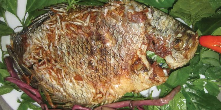 Cá tai tượng chiên xù