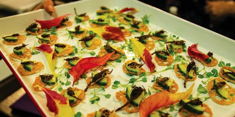 Củ sen chiên bọ cạp