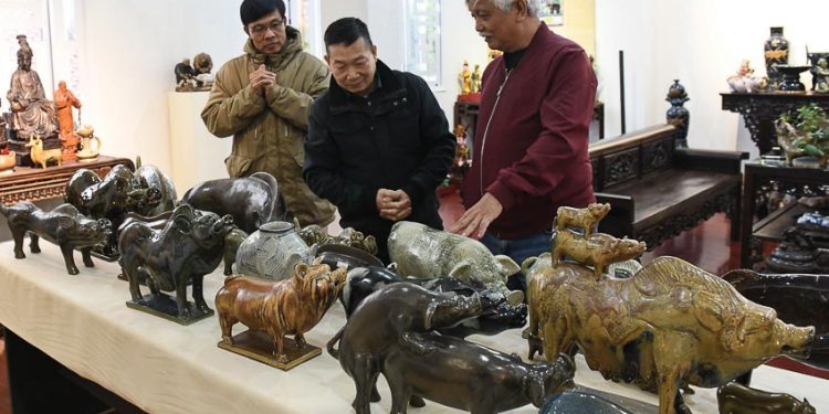 Nhà sử học Dương Trung Quốc (bìa phải) với các tượng lợn trong bộ sưu tập của ông