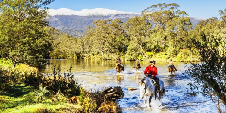 Chinh phục Kosciuszko, nóc nhà của đất nước chuột túi